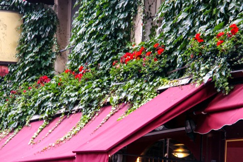 What Is The Best Awning Material? 
